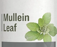 MULLEIN LEAF - Healthy Respiratory System & Lung Support Herbal Tincture USA