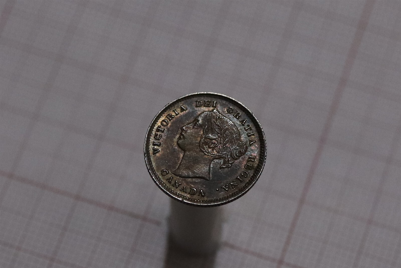 Picture 5 of 5