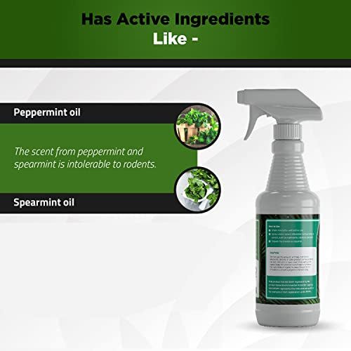 Peppermint Essential Pest Control Oil For Mice Spiders Ants Fleas Roaches Rodent 689585974595 eBay