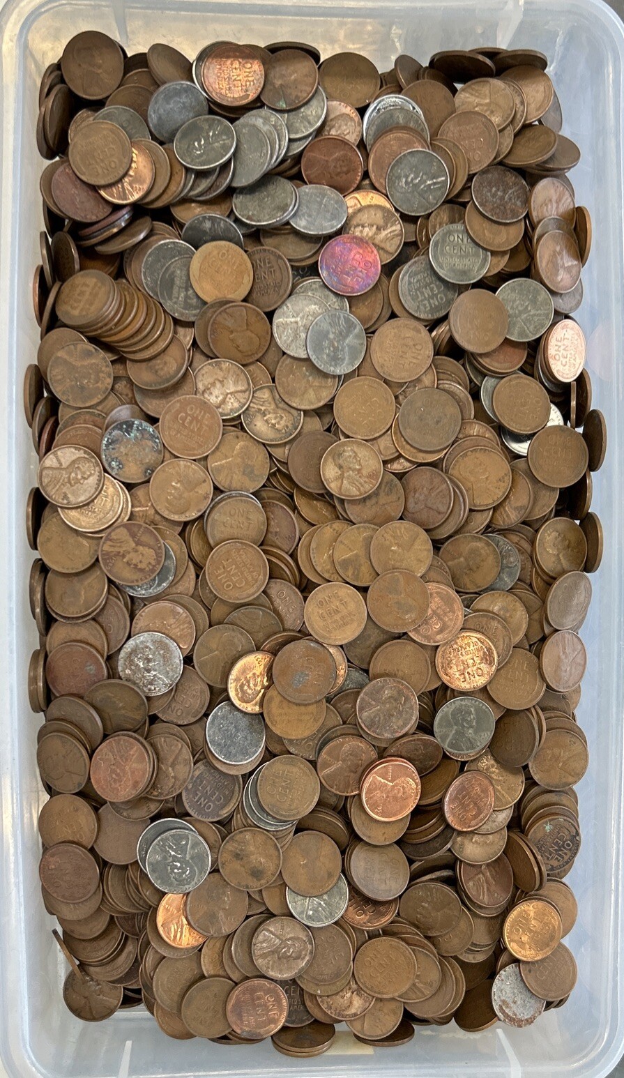 Bag of 5000 1909 1958 Wheat Cents Unsearched Coin Shop Hoard 8 eBay