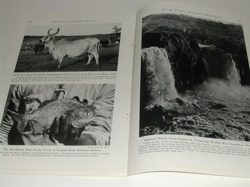 1943 magazine articles Paraguay & Matto Grosso BRAZIL area, exploration, travel - Picture 12 of 12