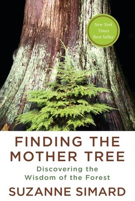 Finding the Mother Tree: Discovering the Wisdom of the Forest - hardcover Si...