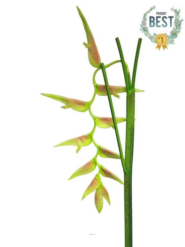 Branche d'Heliconia Equatorial pour illuminer un grand vase de salon moderne