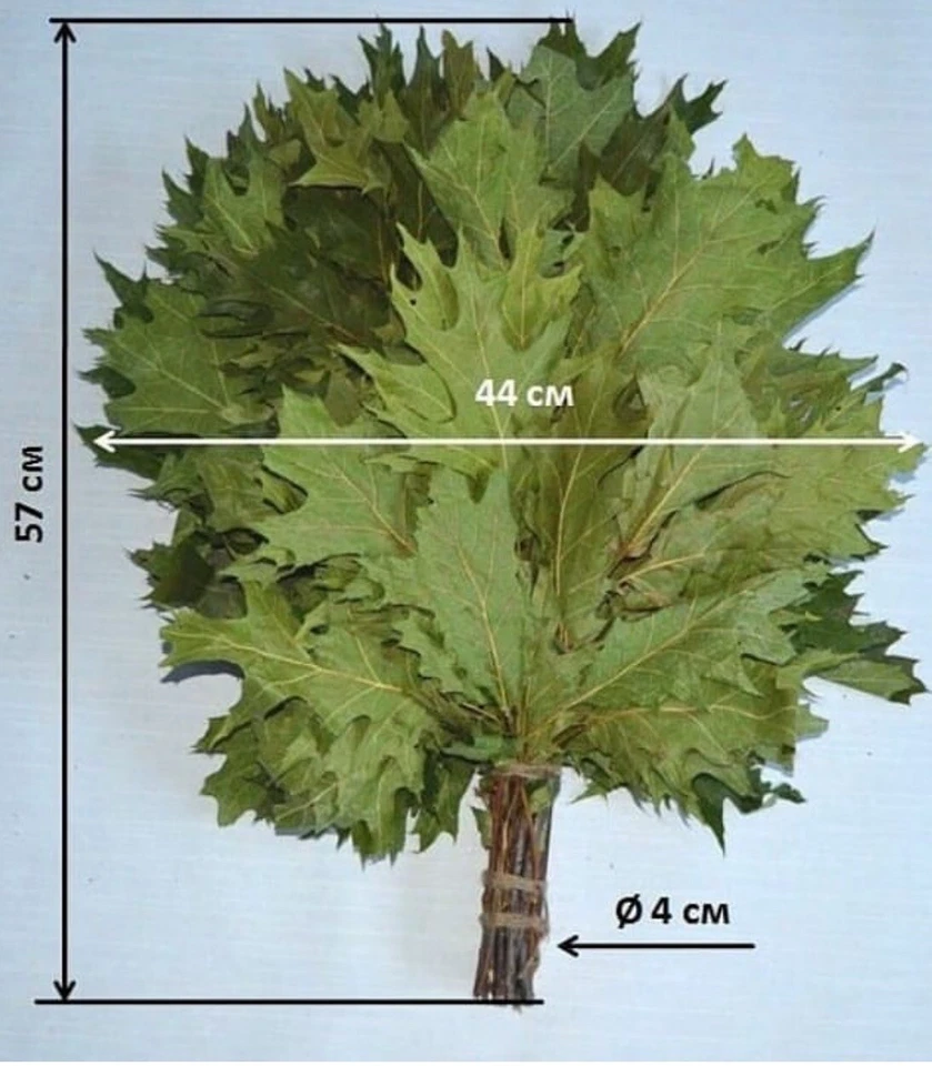 24 OAK whisks sauna banya venik brooms NEW SEASON 2025 FREE SHIPING - Image 2 of 4