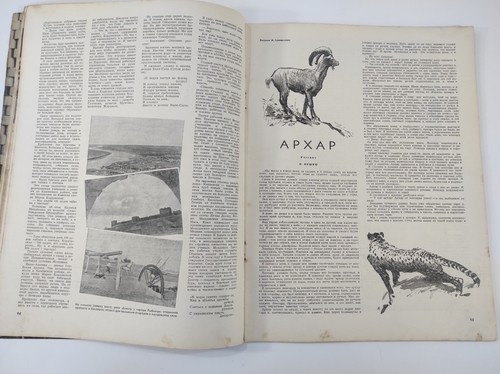 Sowjetische Zeitschrift ""Ogoniok"" 1947 - Bild 6 von 12