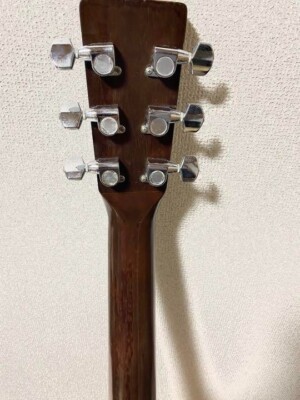 Tokai Cat'S Eyes Ce-250 Acoustic Guitar With Soft Case CE250 | eBay