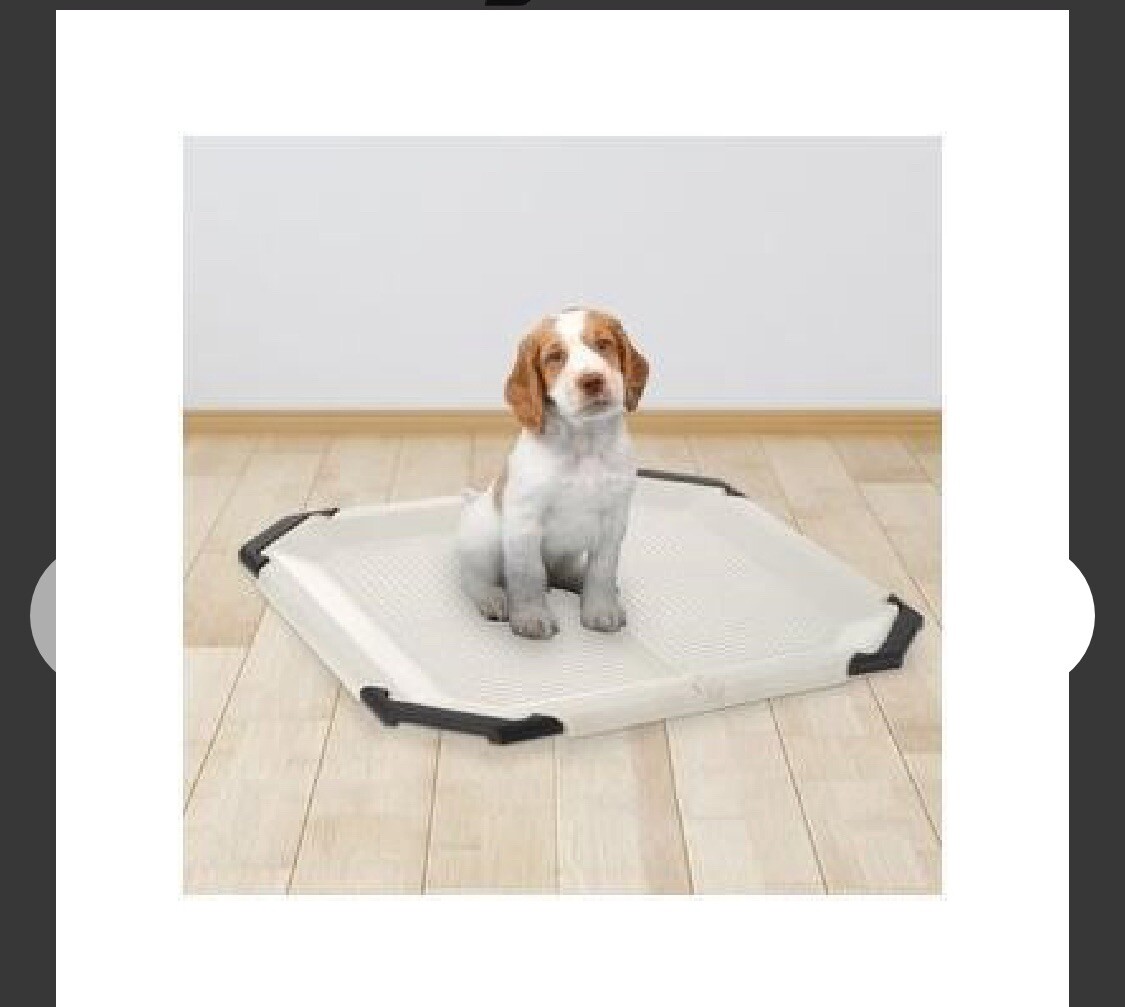 PAW TRAX Potty Pad Holder, Puppy Training Pad Tray, for a pad 21 x 21 inches