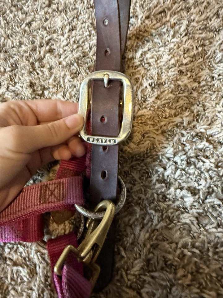 Halter pequeño tamaño caballo tejedor cuero nailon Breakaway rosa fucsia ☼ Foto 4 de 4