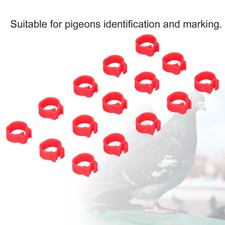 Neu 100 Stück 8mm Tauben Beinringe Leichte Kunststoff Tauben Identifizierung