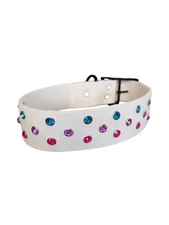 Biothane Designer Dog Coller.                                      Size 16-19 In