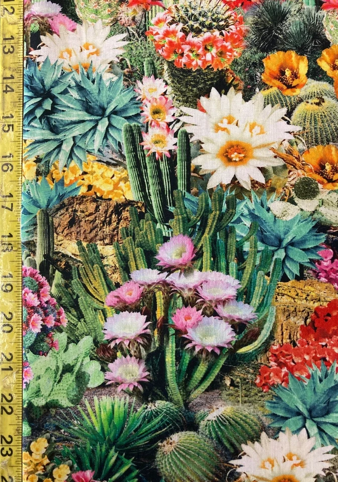 Tela de cactus Tesoros atemporales desierto suroeste paisaje de cactus oeste CD1786 Foto 2 de 3