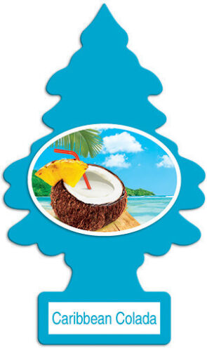 Little Trees Hanging Air Freshener Choose Scent Car Truck RV Home Office 6/10/24 - Picture 12 of 41