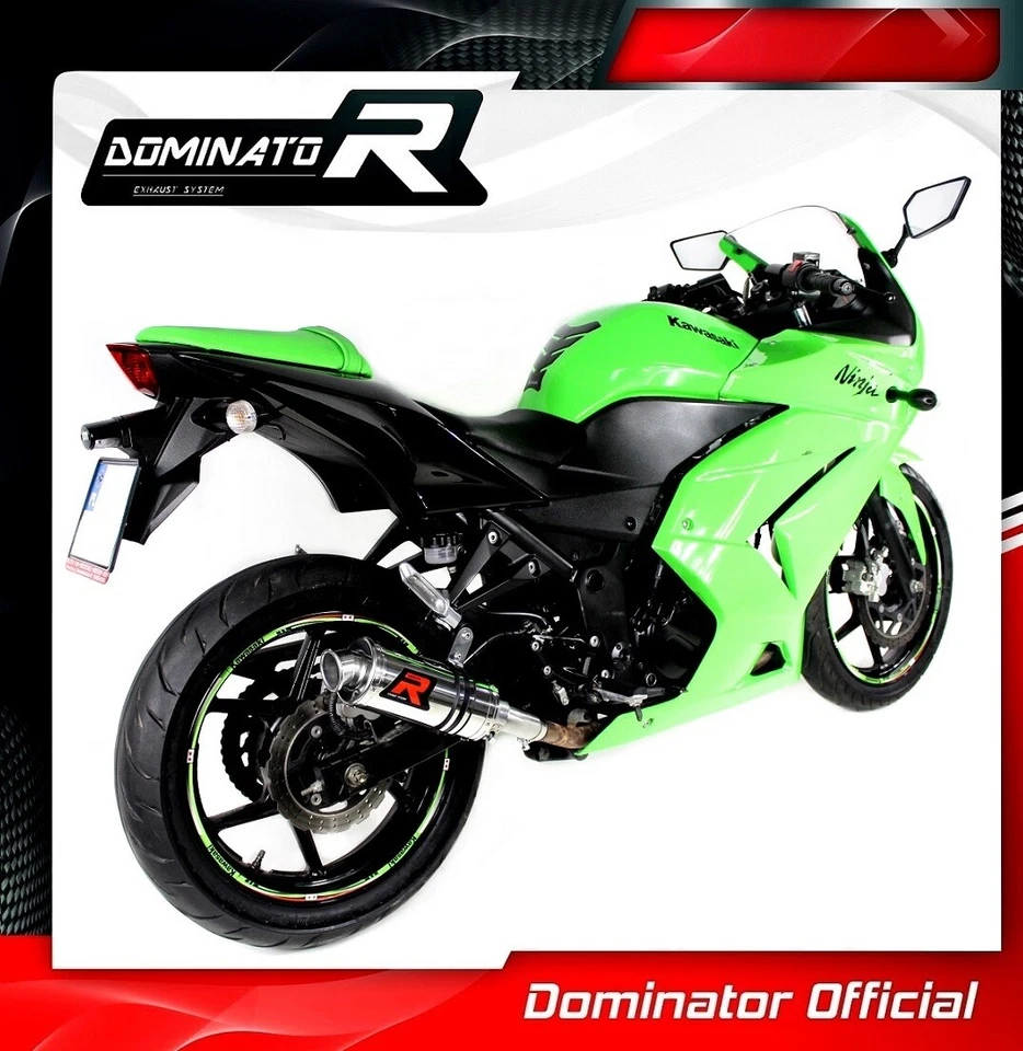 Silenciador silenciador Ninja ZX 250 R escape GP I Dominator Racing 2011 2012 Foto 3 de 4