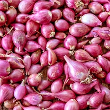🌿16oz Premium Shallots – Strong Aroma & Bold Flavor | Gourmet Red Shallot Bulbs