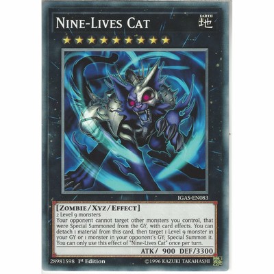 nine lives cat