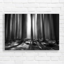 Breath Of Life Black White Canvas Print Large Picture Wall Art
