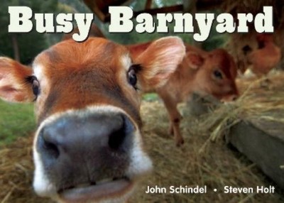 John Schindel Busy Barnyard (Kartonbuch) Busy Book
