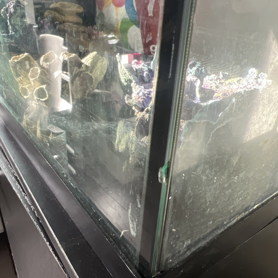 Fish Loader Machine Aquarium Fish Tank with Full Equipment | eBay Australia