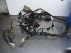 Picture 5 of 5
