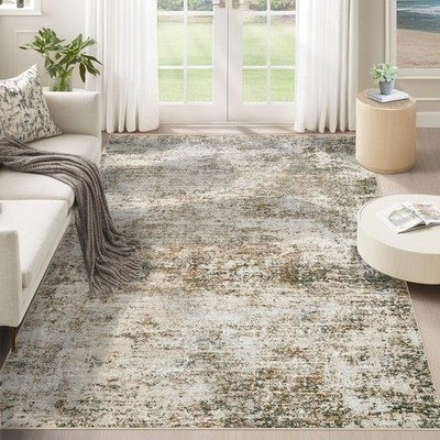 Washable Area Rug Soft Non-Slip Kid Pet Friendly Abstract Design Low Maintenance