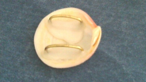 White Pink Pearlized Shell Belt Buckle/Scarf Accent 2.75" In Diameter 2 Loops - Picture 3 of 4