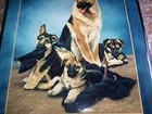 Bradford Exchange German Shepherd Plate THE ROOKIES B1548 by Linda Picken — photo 2