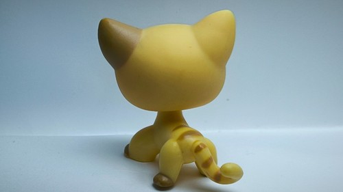 Littlest Pet Shop # 886 Shorthair cat Chat européen Authentic LPS -142 - Imagen 6 de 8