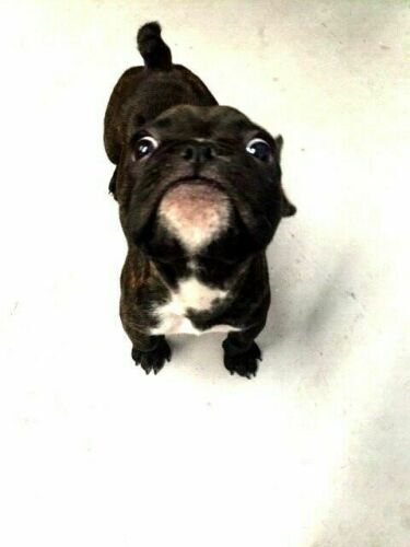 Firearms ATF Part 178 of 27 CFR Federal Laws and Regulations BATF (5-80)