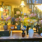 Bild 11 von 18