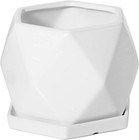 Ekirlin Topfwaren Topf Blumentopf Weiß Stilvoll, Ornamental Pflanze Mit Bonsai