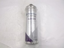 Pentair Everpure 2CB-GW Filter Cartridge EV9618-36 10-Micron For Water System
