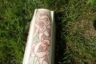 Bild 8 von 21