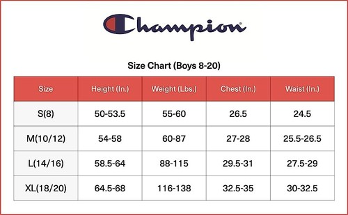 CHAMPION ― Boys M Medium (10/12) ― Lot of 2 Black/Gray Athletic Shorts NWT #DE41 - Picture 6 of 6
