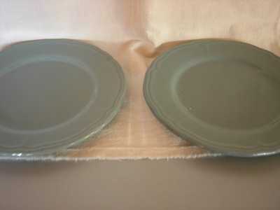NWT Citrus Grove Set Of 2 Luncheon Plates- Blue  8.5 -Far East Brokers