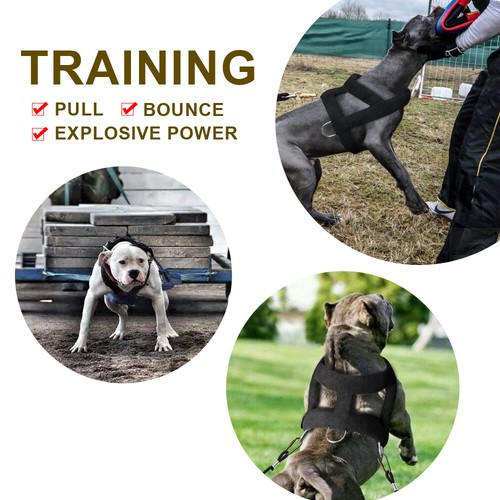 Dog Weight Pulling Harness for Pitbulls Training Adjustable Medium Large Vest - Picture 6 of 13