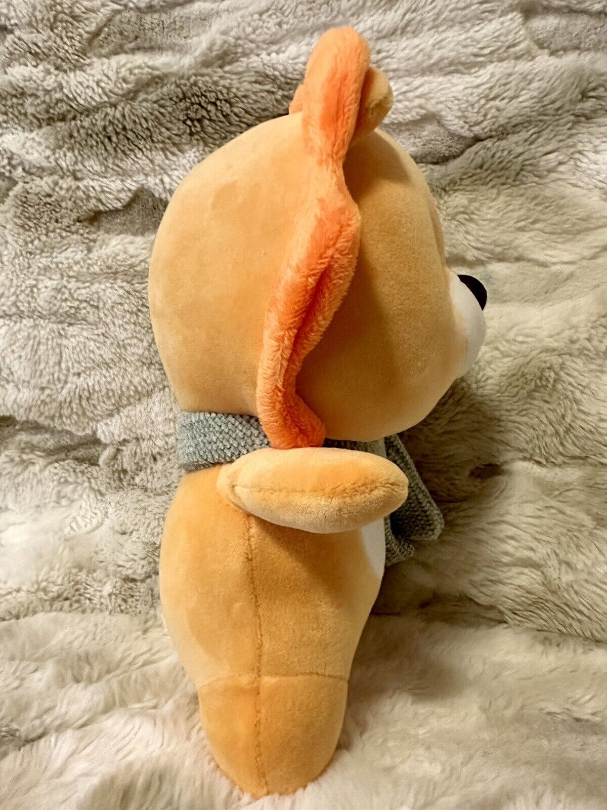 Foto 11 di 17