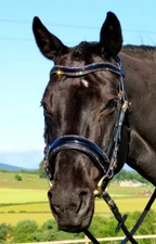 FSS STELLAR Curve CRYSTAL RHINESTONE PIPING EDGE Comfort PATENT Bridle NEW BRASS