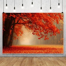 Fall Autumn Backdrop Photography Forest Scenery Maple Leaves Pumpkins Background