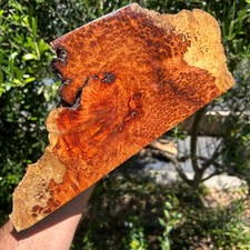 Amboyna Burl Figured Wood End Piece Knife Scales Pen Blank 13" x 6 1/8" x 4 5/8"