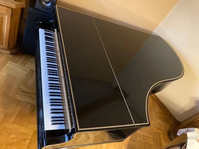 Piano de cola Bechstein, talla B, negro brillante con línea dorada, restaurado en 2009 Foto 2 de 4