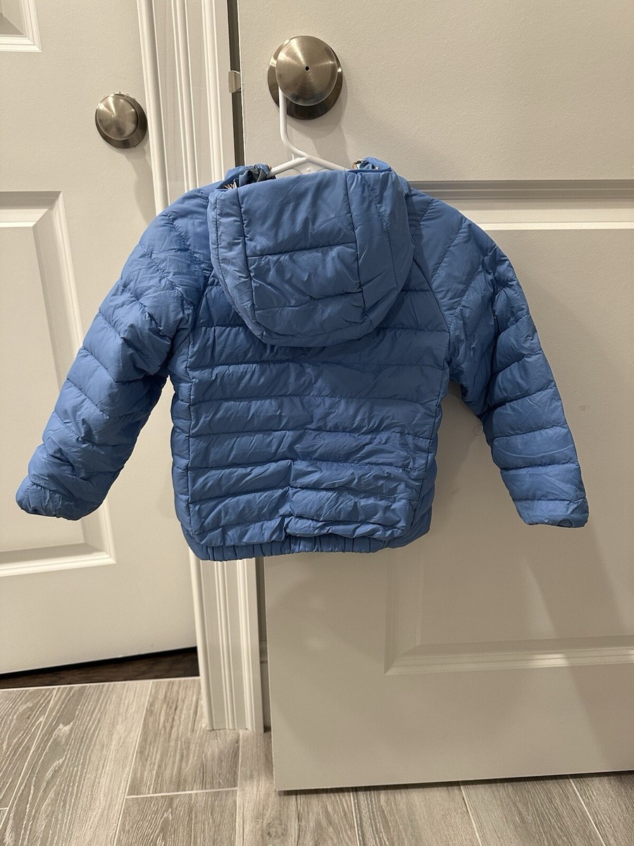 Patagonia Baby Reversible Down Sweater Hoody Blue Bird 2T | eBay
