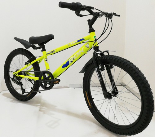BICICLETTA 20\