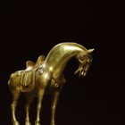 Foto 6 di 9