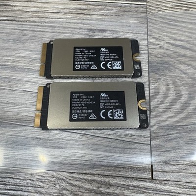 Lot Of 2 Apple 2TB SSD Total Of 4tb 656-0063A EMC 3197 C0275170