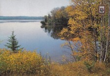 MICHIGAN IN AUTUMN ~ USED ~ POSTED