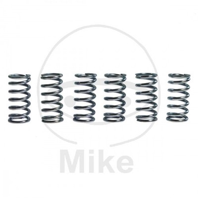 6 Molle Frizione Scorrevoli Rigide Fioroni FIO-OT-FR59 Per Buggy Nitro