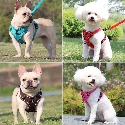 Small Dog Harness Lead Set Reflective Nylon No Pull Adjustable Pet Vest Puppy AU - Picture 4 of 16