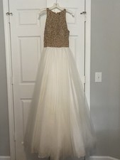 David’s Bridal Gown 
