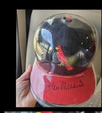 St. Louis Cardinals Collecting and Fan Guide 74