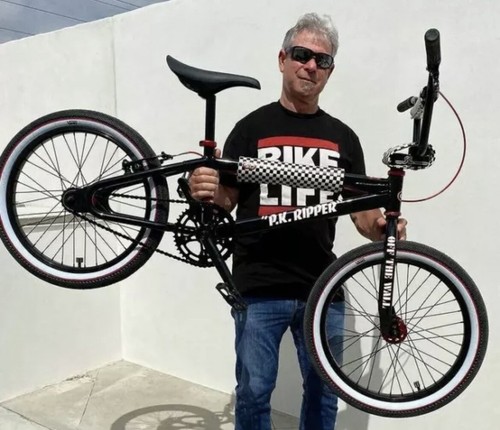 SE Bikes Vans PK Ripper Looptail 